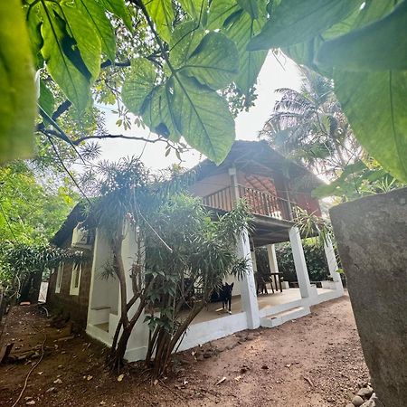 The Sunset Chalet 안주나 외부 사진